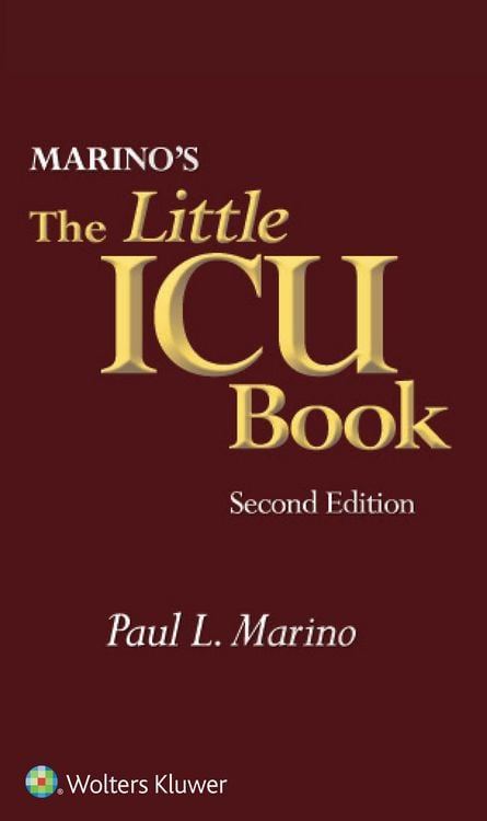 Produktbild: The Little ICU Book