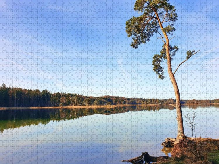 Produktbild: CALVENDO Puzzle Akzeptanz statt Widerstand - Baum an den Osterseen | 1000 Teile Lege-Gr&ouml;&szlig;e 64x48cm Foto-Puzzle f&uuml;r gl&uuml;ckliche Stunden