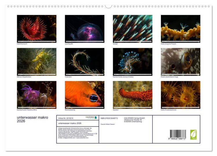 Produktbild: unterwasser makro 2026 (hochwertiger Premium Wandkalender 2026 DIN A2 quer), Kunstdruck in Hochglanz