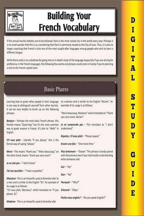 Produktbild: French Vocabulary (Blokehead Easy Study Guide)