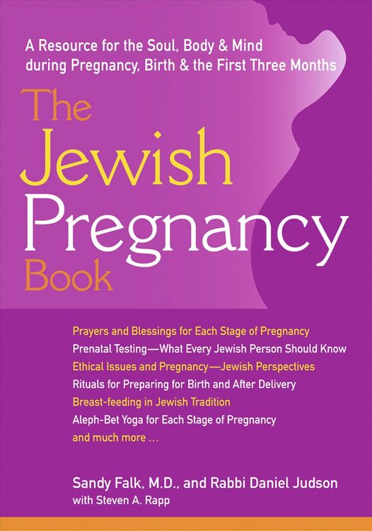Produktbild: The Jewish Pregnancy Book