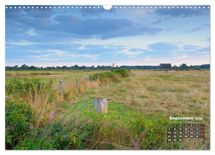 Produktbild: Die Dingdener Heide im Wandel der Jahreszeiten (Wandkalender 2026 DIN A3 quer), CALVENDO Monatskalender