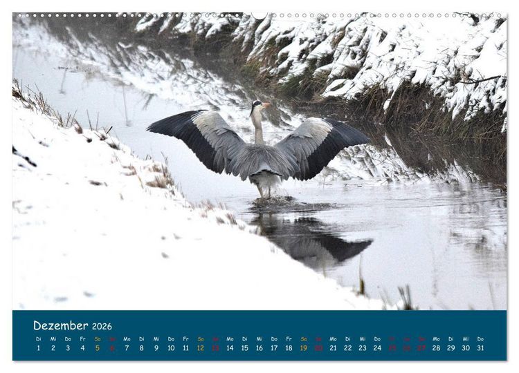 Produktbild: Naturschutzgebiet W&uuml;mme (Wandkalender 2026 DIN A2 quer), CALVENDO Monatskalender