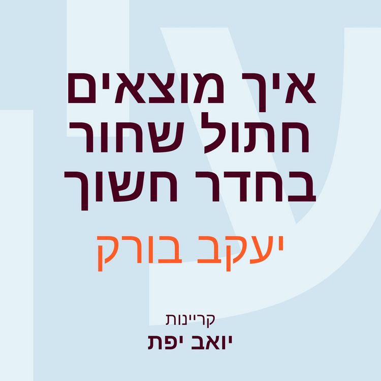 Produktbild: איך מוצאים חתול שחור בחדר חשוך