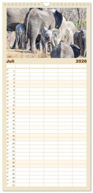 Produktbild: Familienplaner 2026 - Babyelefanten mit 5 Spalten (Wandkalender, 21 x 45 cm) CALVENDO