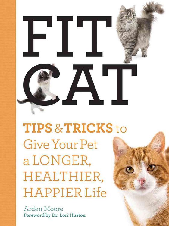 Produktbild: Fit Cat