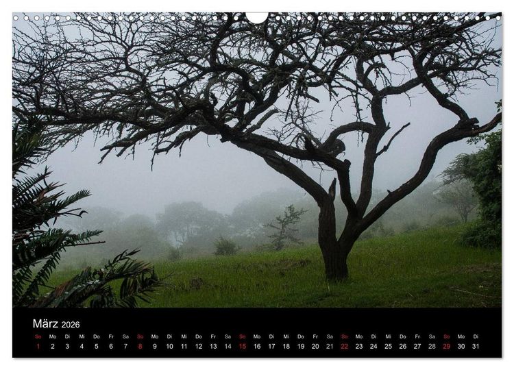 Produktbild: S&uuml;dafrika (Wandkalender 2026 DIN A3 quer), CALVENDO Monatskalender