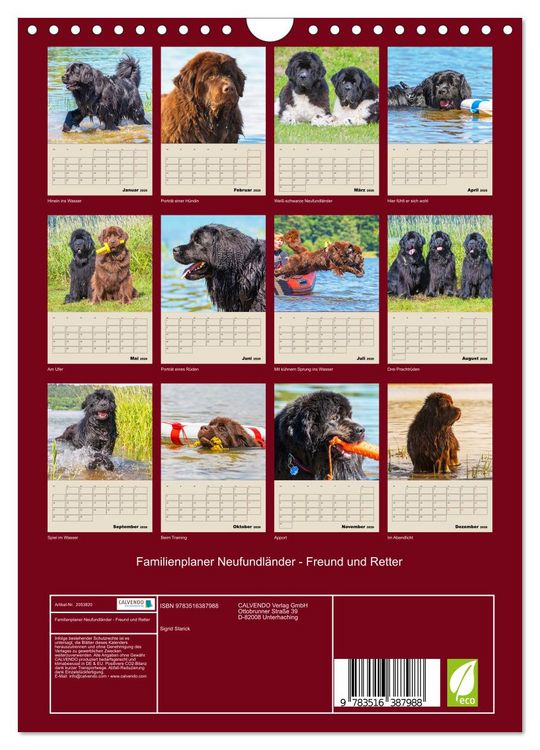 Produktbild: Familienplaner Neufundl&auml;nder - Freund und Retter (Wandkalender 2026 DIN A4 hoch), CALVENDO Monatskalender