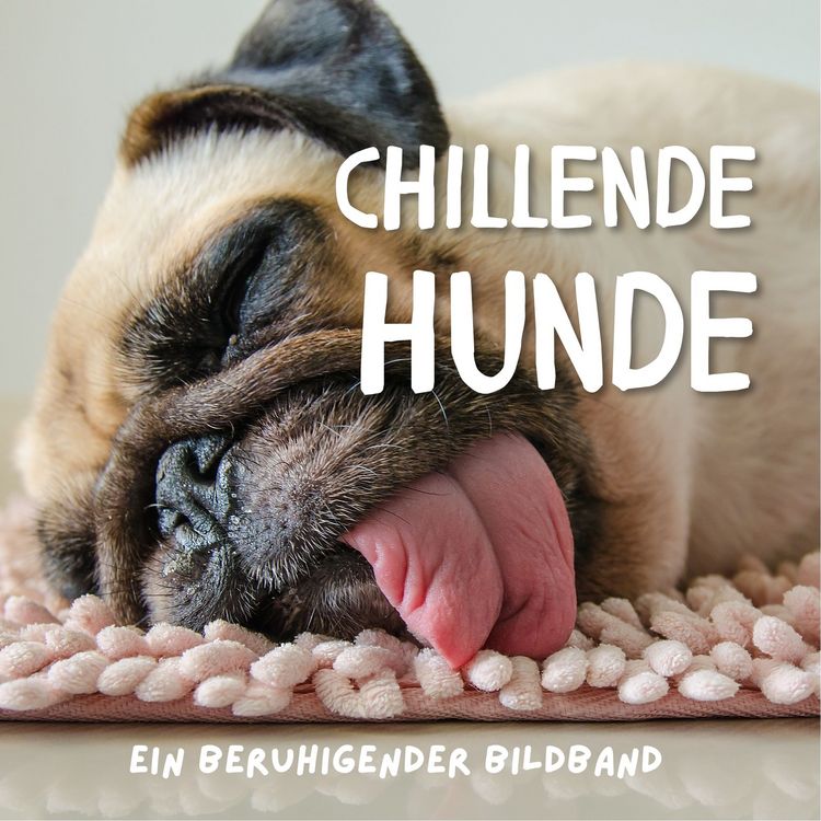 Produktbild: Chillende Hunde
