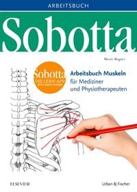 Produktbild: Sobotta Arbeitsbuch Muskeln