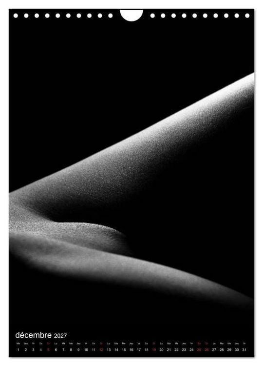 Produktbild: F&eacute;minit&eacute; (Calendrier mural 2027 DIN A4 horizontal), CALVENDO calendrier mensuel