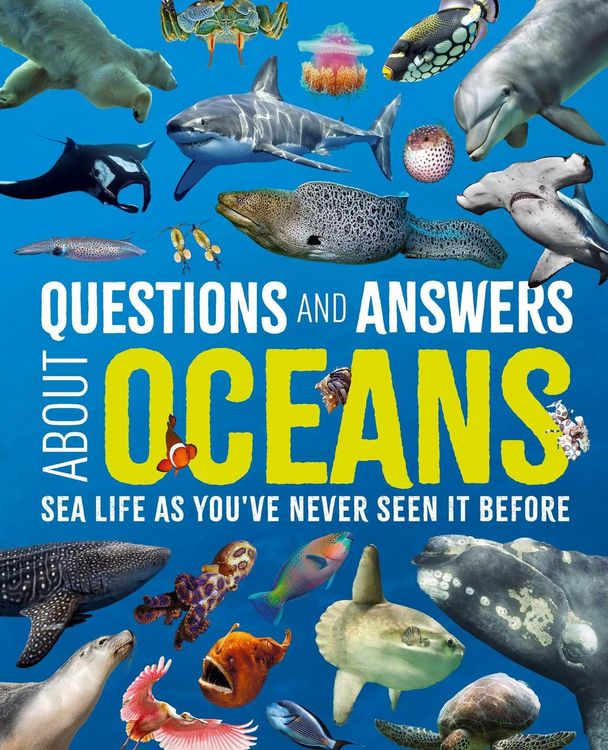 Produktbild: Questions and Answers about Oceans