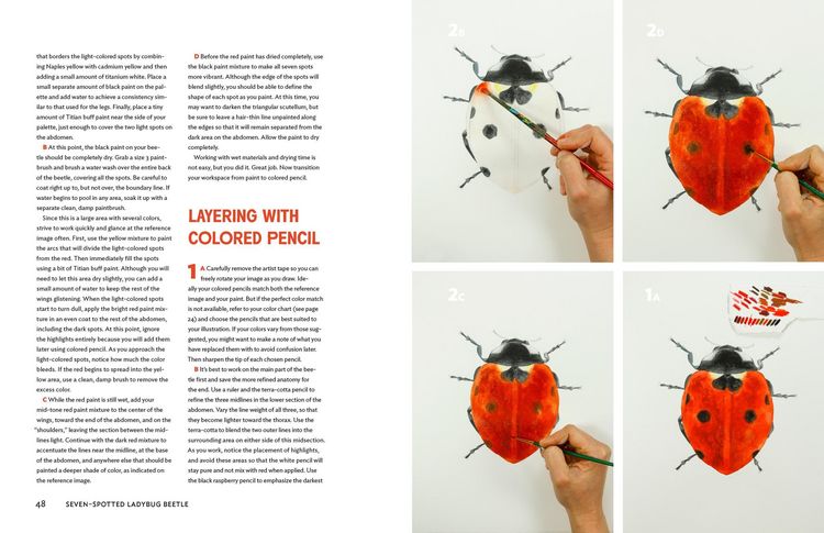 Produktbild: The Insect Artist