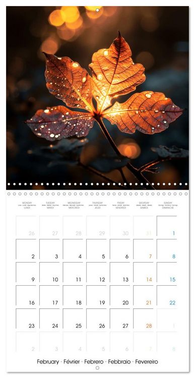 Produktbild: &Eacute;clats naturels (Calendrier mural carr&eacute; 2026 30x30 cm) Calendrier double avec une page pour vos prises de notes