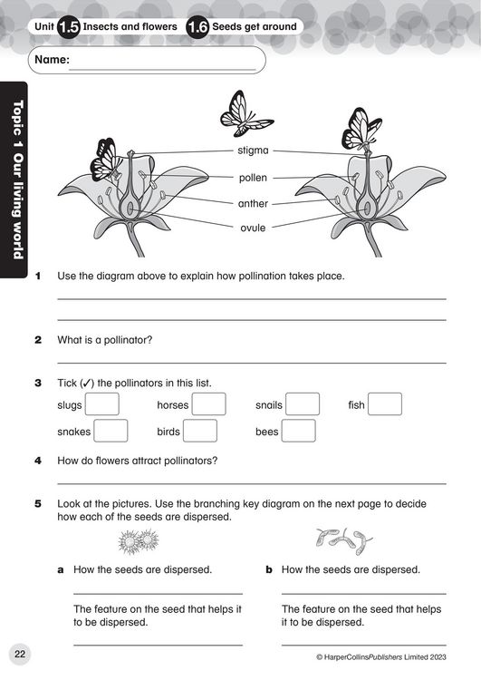 Produktbild: Collins International Primary Science