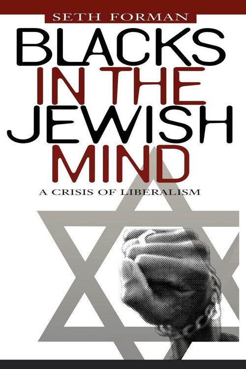 Produktbild: Blacks in the Jewish Mind