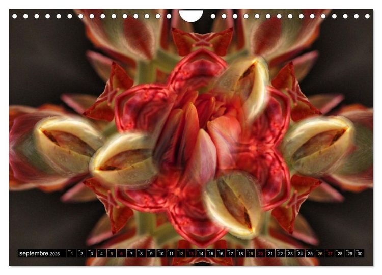 Produktbild: Bouquet d'un jour, bouquet pour toujours (Calendrier mural 2026 DIN A4 vertical), CALVENDO calendrier mensuel