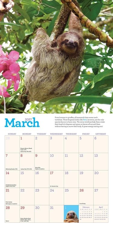 Produktbild: Original Sloths Mini Wall Calendar 2027
