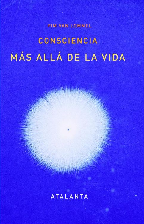 Produktbild: Consciencia m&aacute;s all&aacute; de la vida