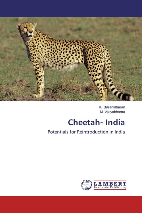 Produktbild: Cheetah- India