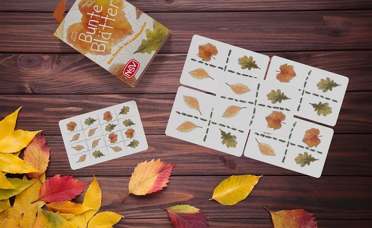 Produktbild: Bunte Bl&auml;tter Travel