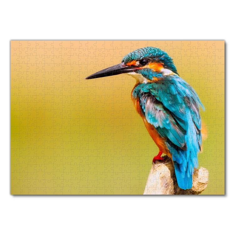 Produktbild: Lais Puzzle Eisvogel 500 Teile