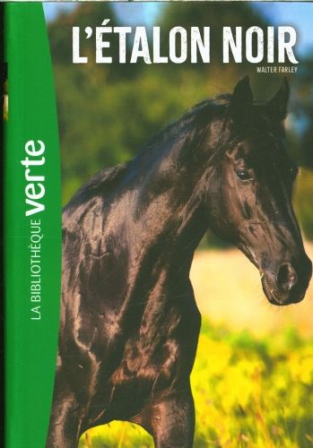 Produktbild: L'&eacute;talon noir. Tome 1