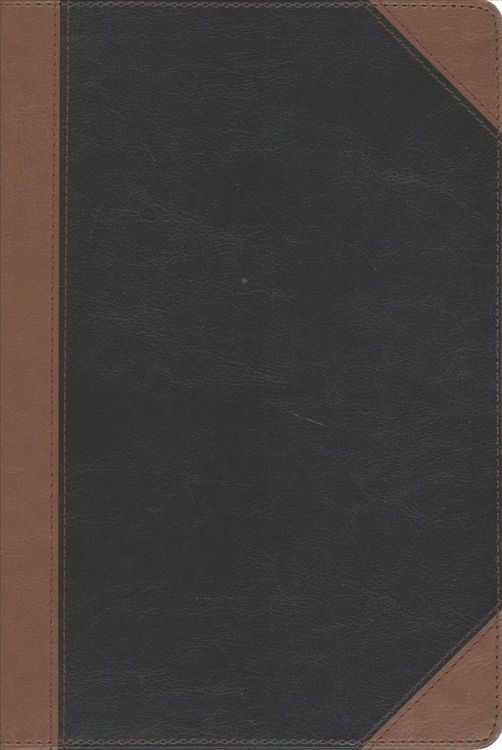 Produktbild: Mangum, B: NKJV, Faithlife Illustrated Study Bible, Leathers