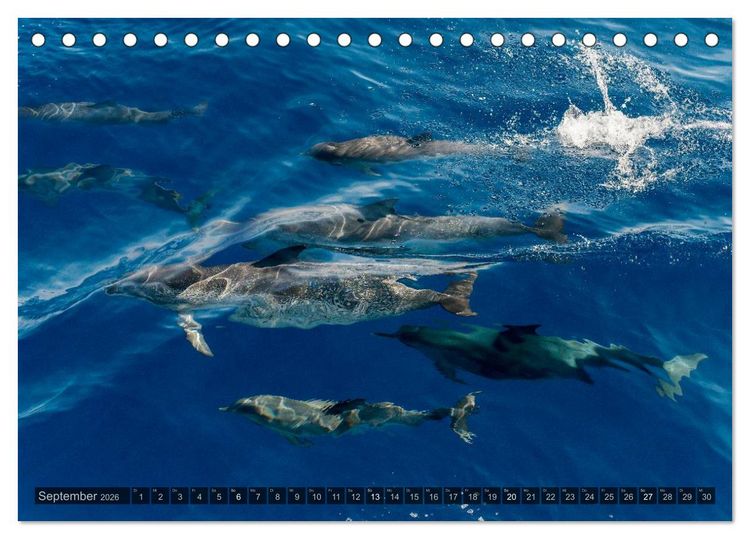 Produktbild: Grandioses Canaria (Tischkalender 2026 DIN A5 quer), CALVENDO Monatskalender