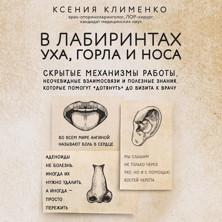 Produktbild: V labirintah uha, gorla i nosa