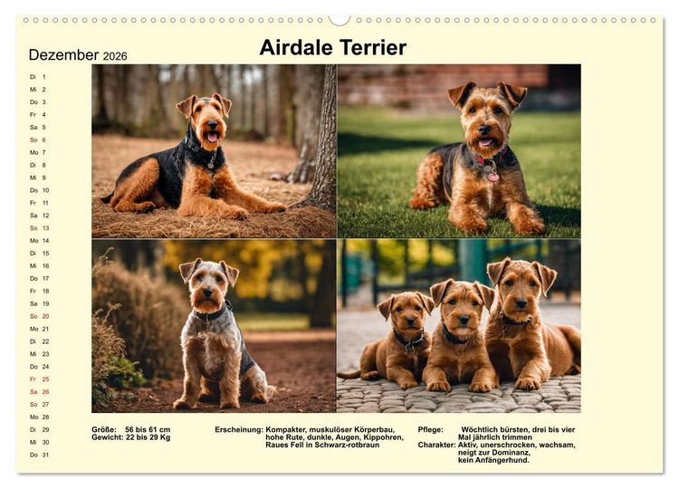 Produktbild: Terrier-Rassen im Portrait (Wandkalender 2026 DIN A2 quer), CALVENDO Monatskalender