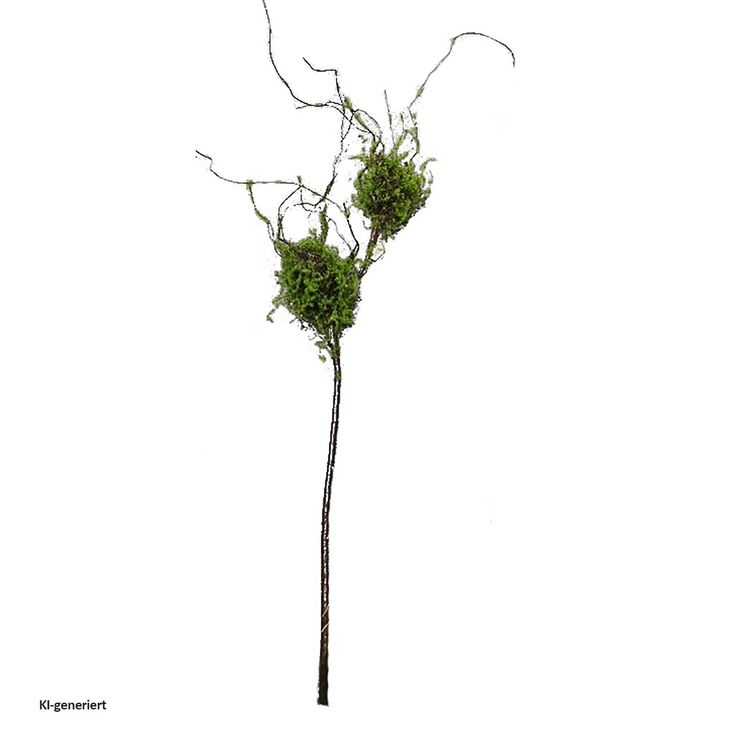 Produktbild: HTI-Living HTI-Living Zweig mit Vogelnestern Kunstpflanze Flora