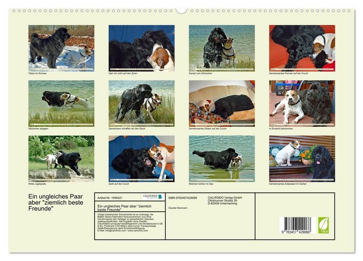 Produktbild: Ein ungleiches Paar aber "ziemlich beste Freunde" (hochwertiger Premium Wandkalender 2026 DIN A2 quer), Kunstdruck in Hochglanz