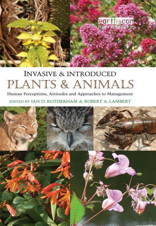 Produktbild: Invasive and Introduced Plants and Animals