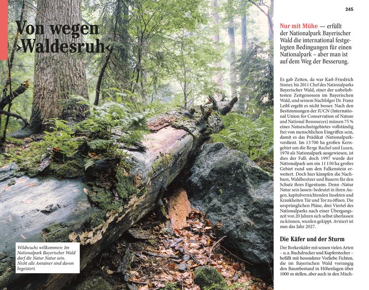 Produktbild: DUMONT Reise-Taschenbuch Reiseführer Bayerischer Wald, Regensburg, Oberpfälzer Wald