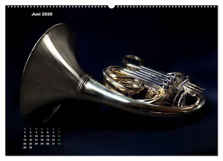 Produktbild: Das Horn, ein herrliches Instrument (hochwertiger Premium Wandkalender 2026 DIN A2 quer), Kunstdruck in Hochglanz