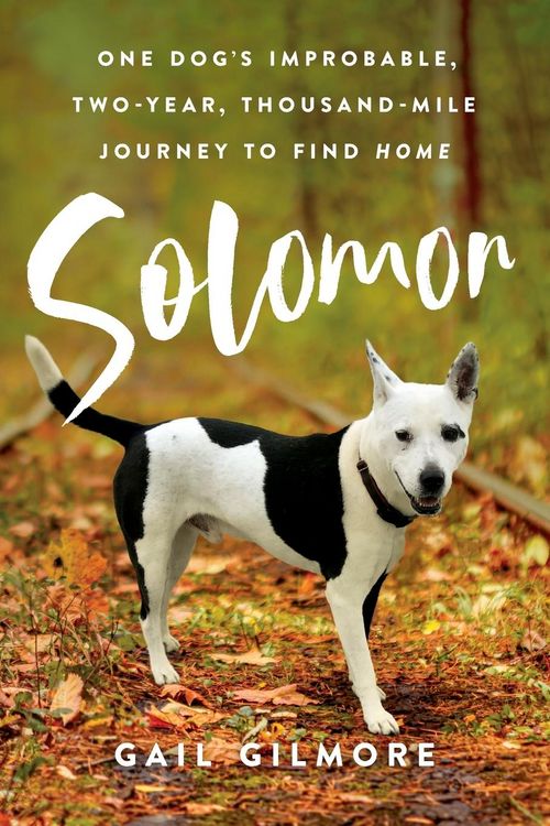 Produktbild: Solomon