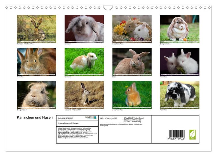 Produktbild: Kaninchen und Hasen (Wandkalender 2026 DIN A3 quer), CALVENDO Monatskalender