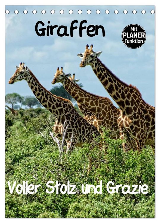 Produktbild: Giraffen. Voller Stolz und Grazie (Tischkalender 2026 DIN A5 hoch), CALVENDO Monatskalender