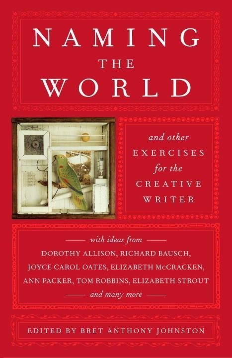 Produktbild: Naming the World