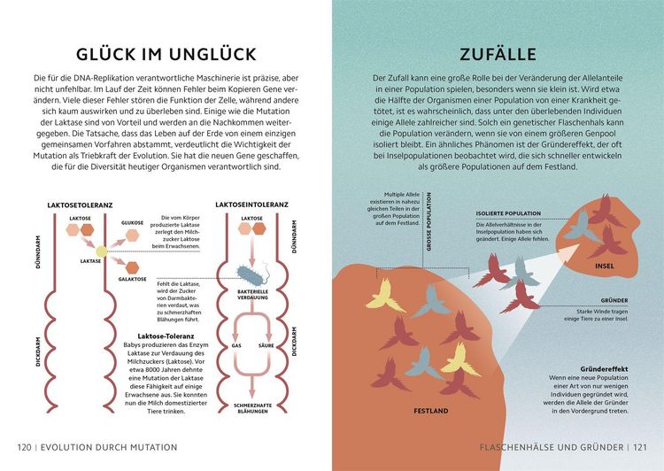 Produktbild: SIMPLY. Genetik