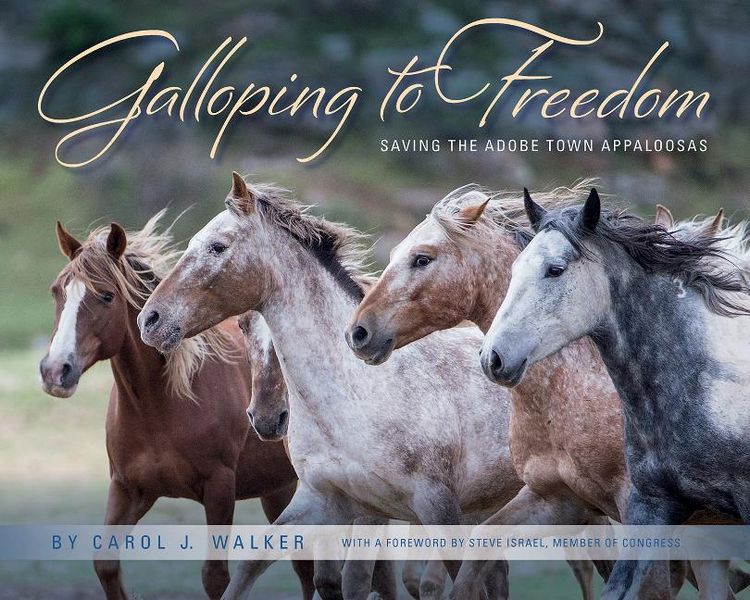 Produktbild: Galloping To Freedom