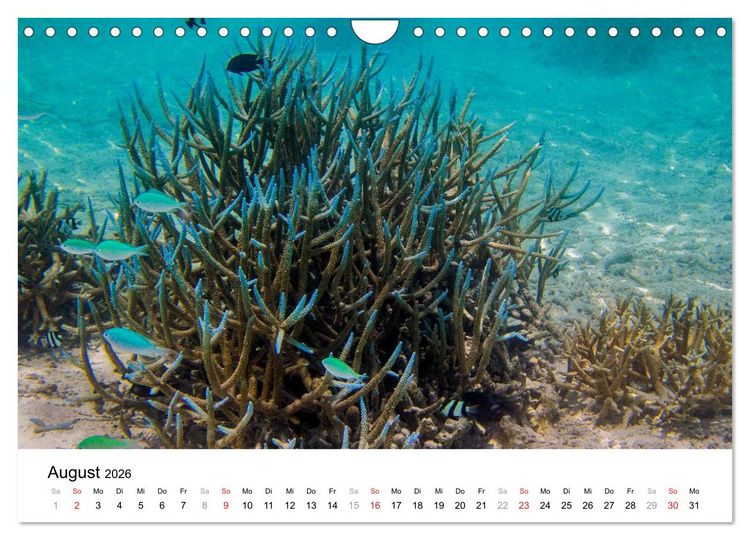 Produktbild: Unterwasserwelt der Malediven III (Wandkalender 2026 DIN A4 quer), CALVENDO Monatskalender