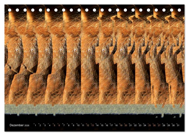 Produktbild: Magische Bilder - 3D Stereogramme (Tischkalender 2026 DIN A5 quer), CALVENDO Monatskalender