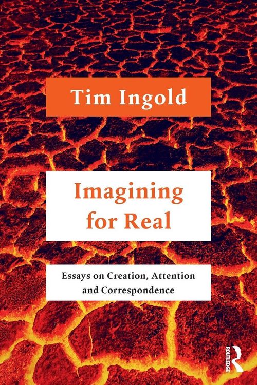Produktbild: Imagining for Real
