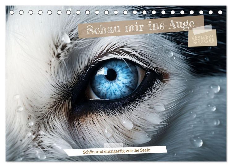 Produktbild: Schau mir ins Auge (Tischkalender 2026 DIN A5 quer), CALVENDO Monatskalender