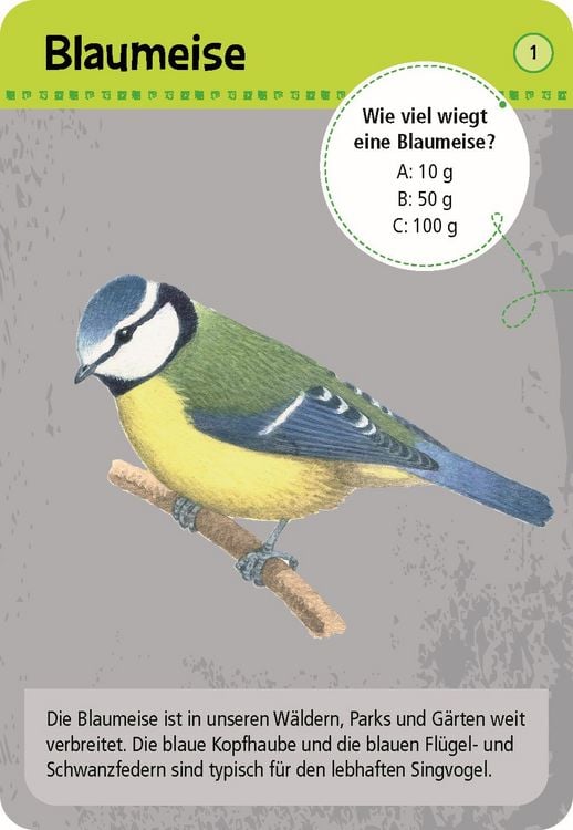 Produktbild: Expedition Natur 50 heimische Tiere in Stadt & Garten