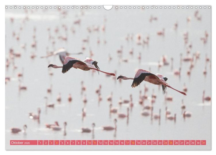 Produktbild: Flamingos am Lake Bogoria - Kenia (Wandkalender 2026 DIN A3 quer), CALVENDO Monatskalender