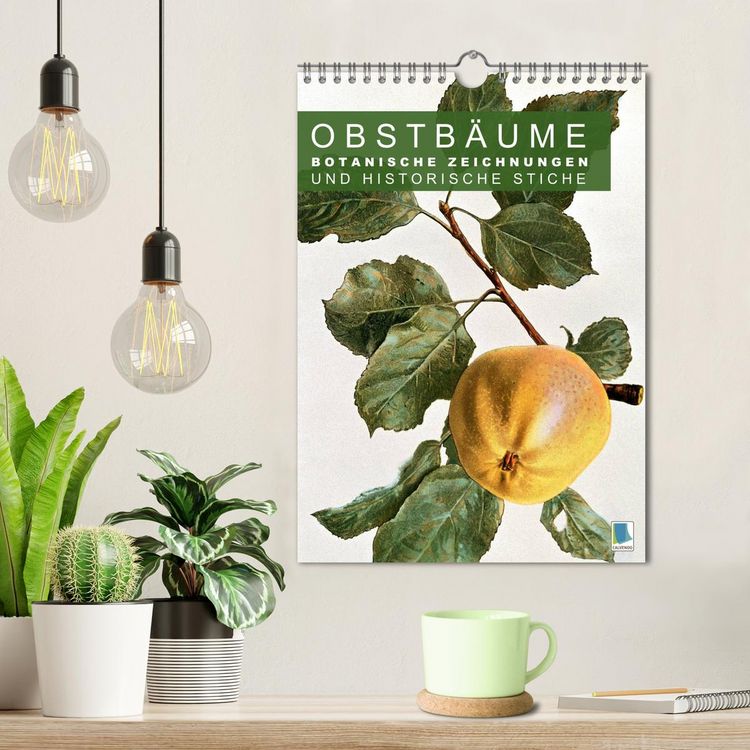 Produktbild: Obstb&auml;ume: Botanische Zeichnungen und historische Stiche (Wandkalender 2026 DIN A4 hoch), CALVENDO Monatskalender