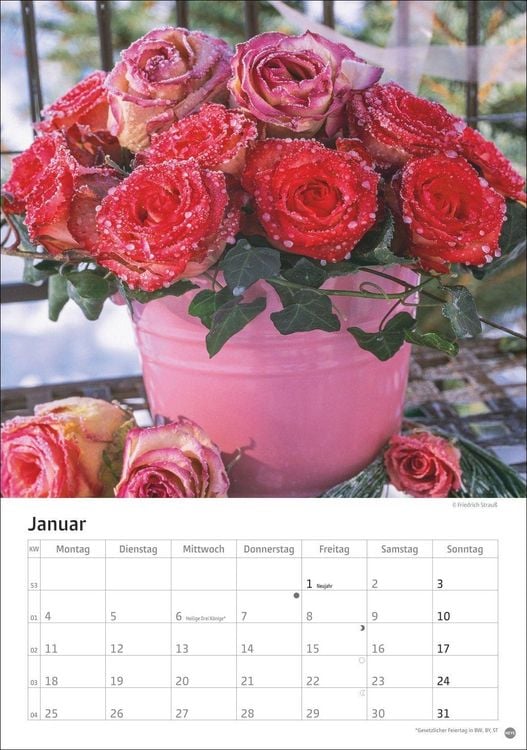 Produktbild: Rosenpracht Kalender 2027